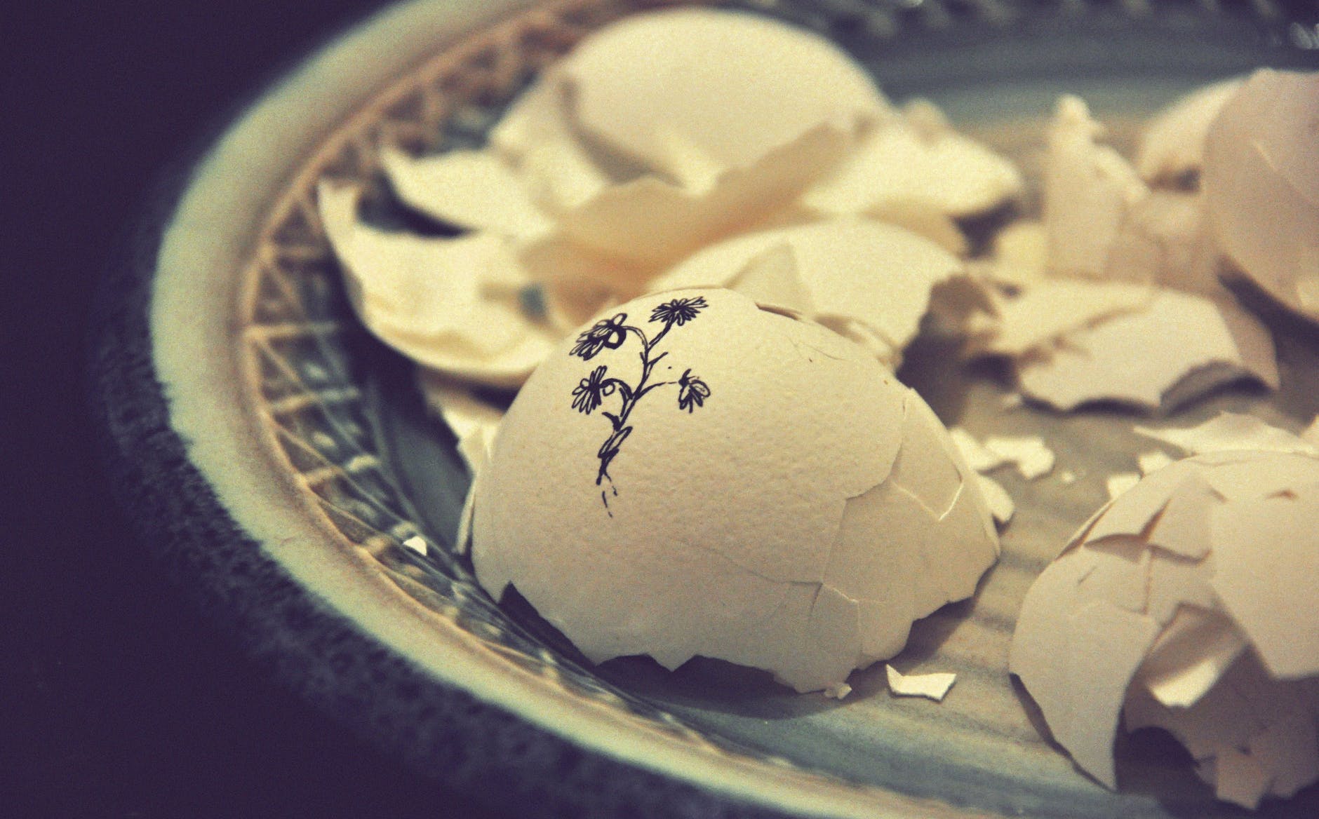 petaled flower drawing on white egg shell